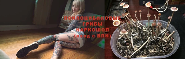 а пвп мука Лиски