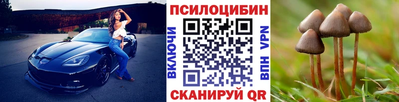 Купить  Киселёвск  Галлюциногенные грибы прущие грибы 